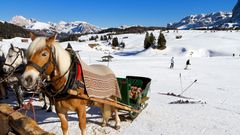 Pferdeschlitten auf der Seisser Alm