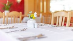 Hotel Ottenstein, Restaurant