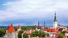 Blick auf die Altstadt von Tallin