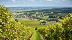 Eintauchen in malerische Natur