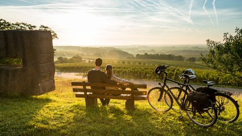 Weinberge Rheinland-Pfalz