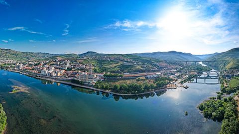 Weinberge am Duoro bei Pinhao