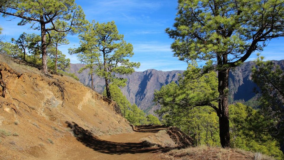 Nationalpark Caldera de Taburiente, La Palma