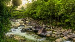 Mossman Gorge im Daintree Nationalpark