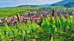 Riquewihr in Alsace