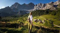 Blick auf Dachstein