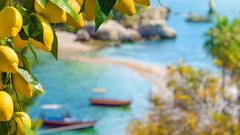 Sizilien, Bucht von Taormina mit Zitronen
