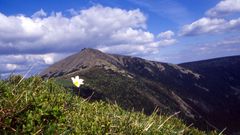 Riesengebirge Schneekoppe