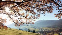 Kleinwalsertal mit Blick Ifen