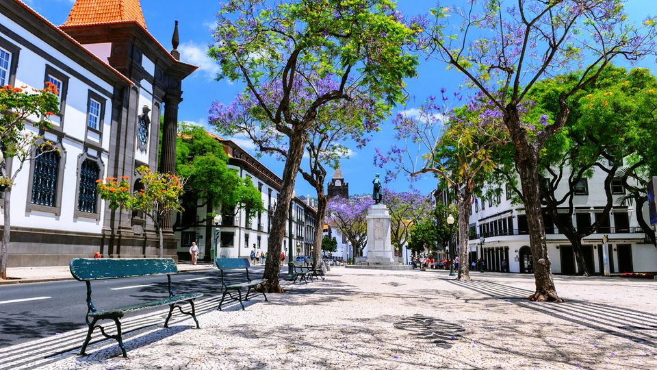 Ein schöner Sommertag in Funchal