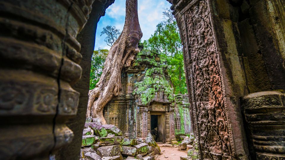 Kambodscha, Angkor Wat - Ta Prohm