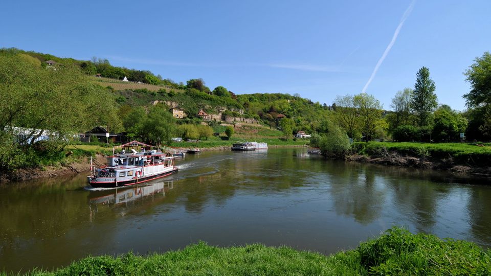 Saale im Naumburger Blütengrund