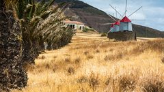 Windmühlen auf Porto Santo