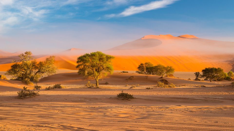 Namib Wüste