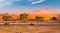 Namib Wüste