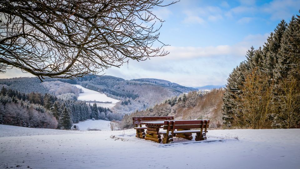 Winter in the Eifel forests,Germany