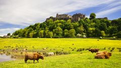 Stirling Castle ©© gornostaj fotolia.com Stirling Castle