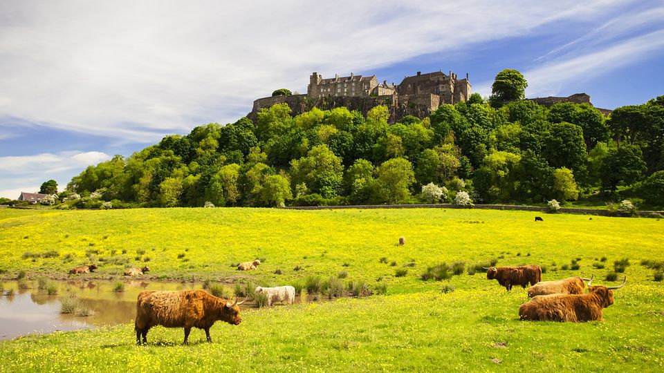 Stirling Castle ©© gornostaj fotolia.com Stirling Castle