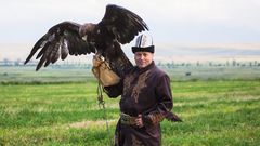 Falkner mit Steinadler