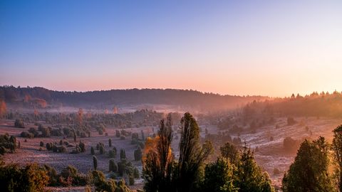 Totengrund Sonnenaufgang Lüneburger Heide