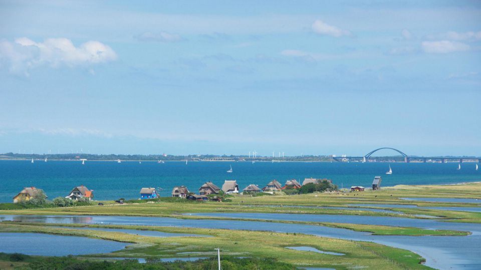 Ferienhäuser und im Hintergrund die Fehmarnsundbrücke