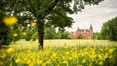 Bad Muskau, Neues Schloss Fürst-Pückler-Park