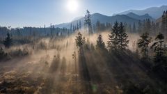 Nebel im Riesengebirge