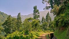 Wanderweg Madeira