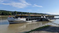 MS Albertina