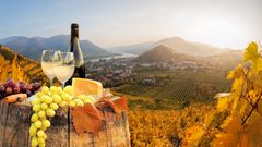 Genuss in der Wachau