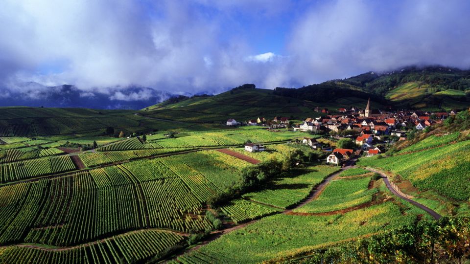 Landschaft im Elsass