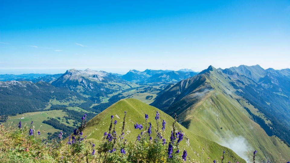 Brienzer Rothorn