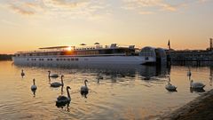 MS Elbe Princesse