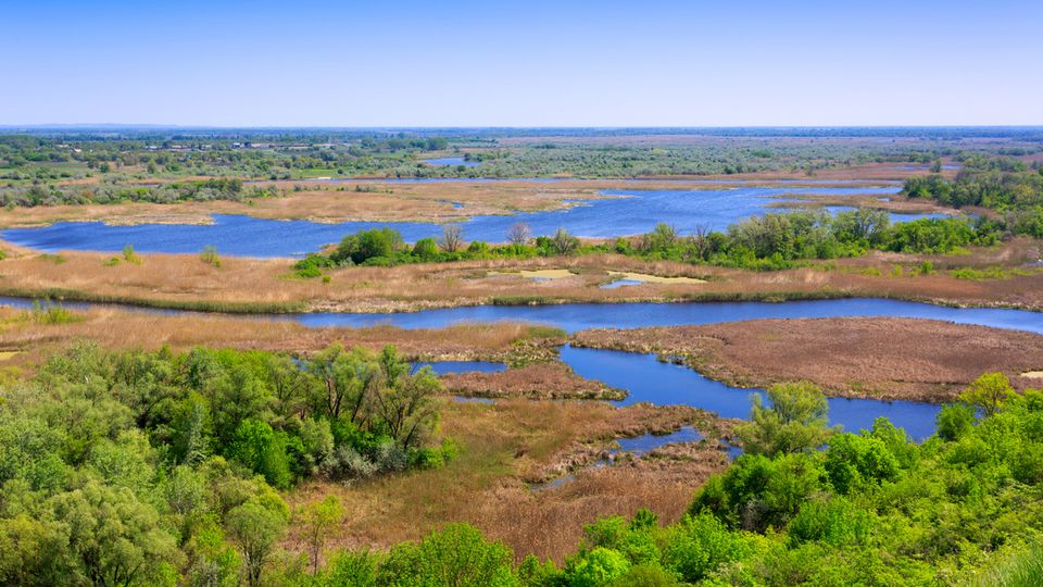 Donaudelta in der Ukraine