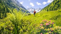 Wandern in den Zillertaler Alpen