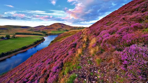 Farbenfrohes Panorama in Schottland ©Marcus, AdobeStock Farbenfrohes Panorama in Schottland