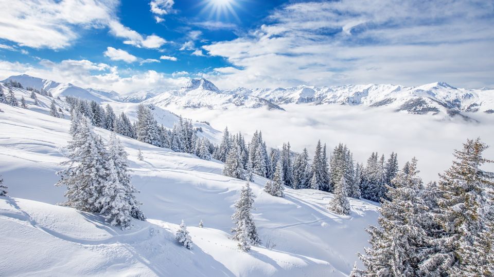 Kitzbühel Alpen