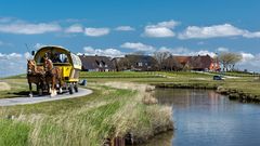 Pferdegespann auf einer Hallig