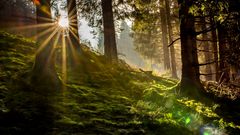 Sonnenaufgang in der Eifel
