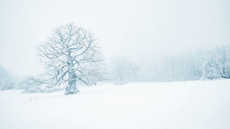 Winderland in Bad Harzburg