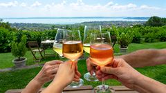 Weinverkostung am Balaton