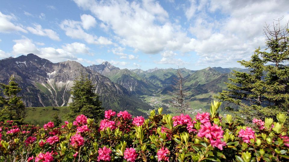 Kleinwalsertal Kuhgehren