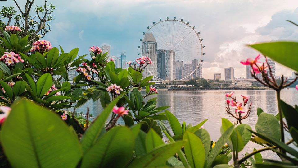 Blick auf Singapur