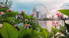 Blick auf Singapur