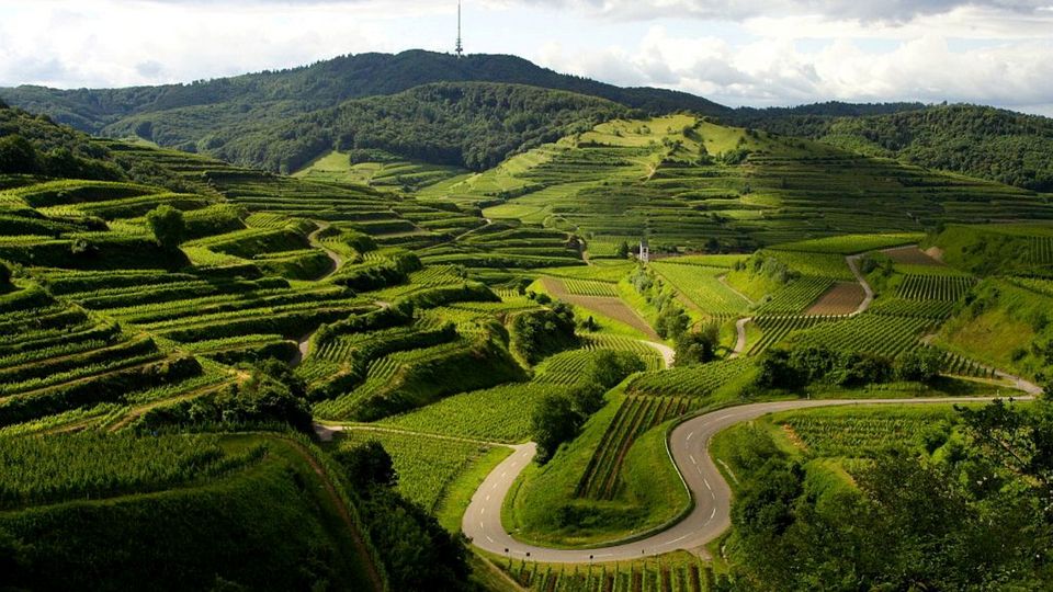 Voigtsberg im Kaiserstuhl