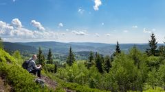 Thüringer Wald mit Wanderer