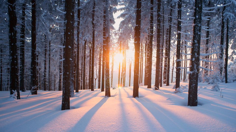 Thüringer Wald im Winter