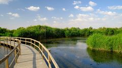 Azraq Wetlands Reserve