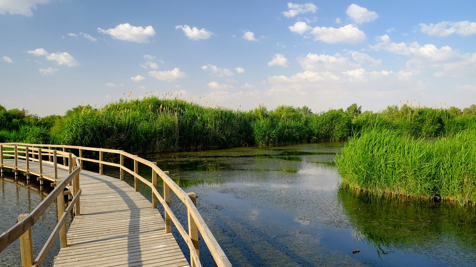 Azraq Wetlands Reserve