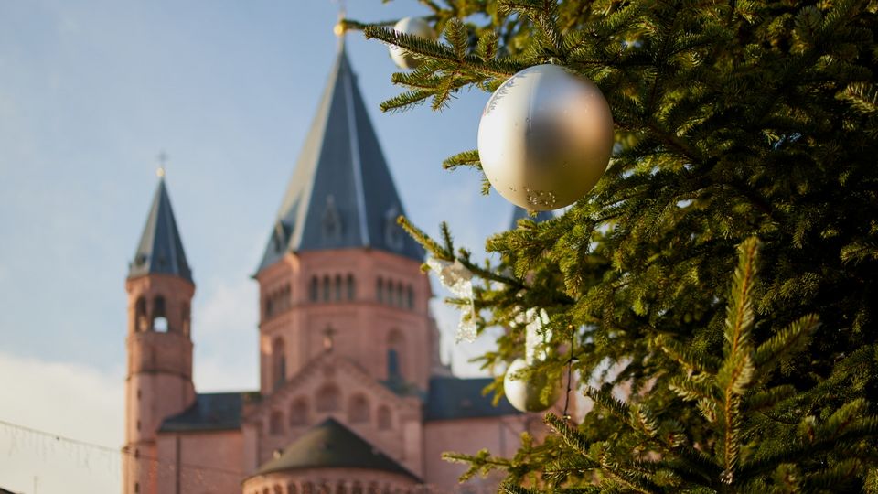 Weihnachtsbaum in Mainz_Claudia Nass_AdobeStock